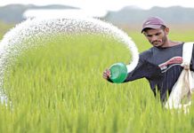 Price of imported urea may be fixed at Rs1,660 per bag: Report