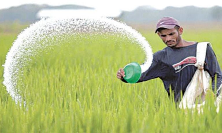 Price of imported urea may be fixed at Rs1,660 per bag: Report