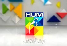 HNL contemplating right shares issue of Rs140 million for Hum Mart