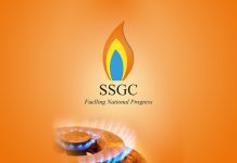 Amin Rajput appointed SSGCL acting MD