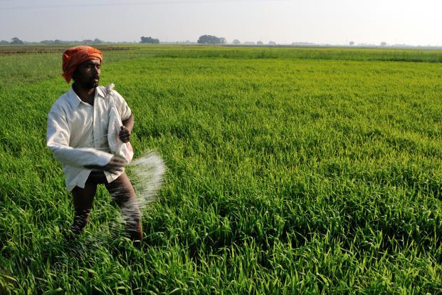 Urea prices to rise further, if govt doesn’t release subsidies