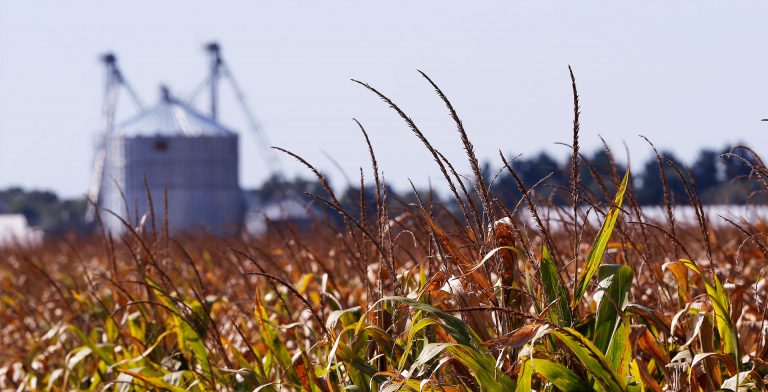 Farmers warn of protest if not compensated for losses suffered due to low support prices Farmers warn of protest if not compensated for losses suffered due to low support prices