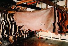 Export of leather products rises 8.39pc YoY in July-Aug