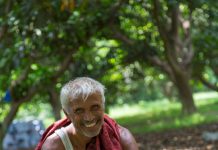 A touch of modernity reaps much higher returns