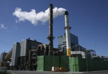 Economists suggest ways to end sugar cartelisation