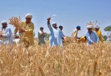 ADB approves $2.5 million grant for technical assistance in agriculture sector