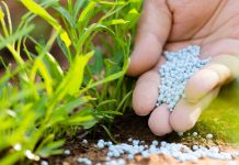 Govt to shut down National Fertiliser Marketing Limited