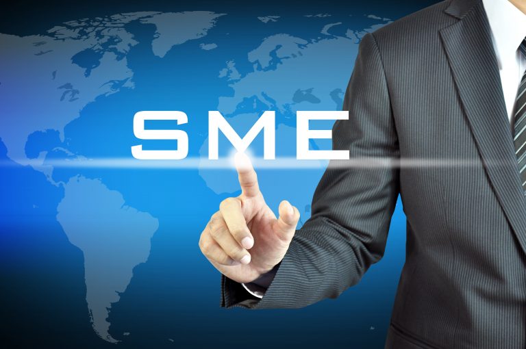 Committee recommends 20% income tax rate on SME sector