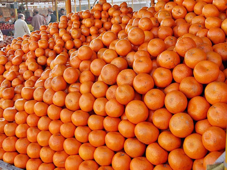 Horticulture exporters set 325,000 tons target for Kinnow exports Horticulture exporters set 325,000 tons target for Kinnow exports