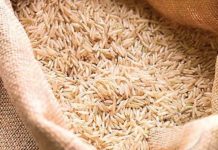 Rice exports increase by 44% in first four months of FY20
