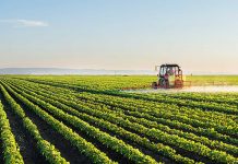 Monsanto’s strong suit: Higher harvests, lower resources