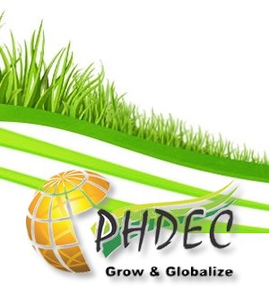 Commerce Division breaking rules recommends appointment of preferred candidate to PHDEC post Commerce Division breaking rules recommends appointment of preferred candidate to PHDEC post