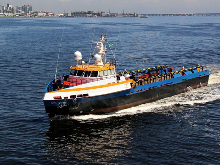 Karachi-UAE could get fast cargo vessel service: TDAP