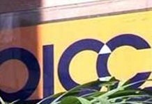 OICCI assures PM of bringing more investment to Pakistan