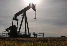 Oil and gas reserves to end after 10 years, reveals petroleum division