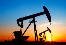 Oil prices stabilize after ‘Black Friday’ plunge