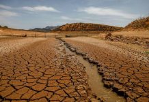 Living standards in Pakistan will be hampered by climate change: World Bank
