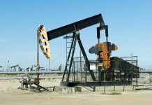 Govt forms body to conduct forensic audit of dry wells