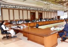 Cabinet likely to freeze electricity tariff till June 2020