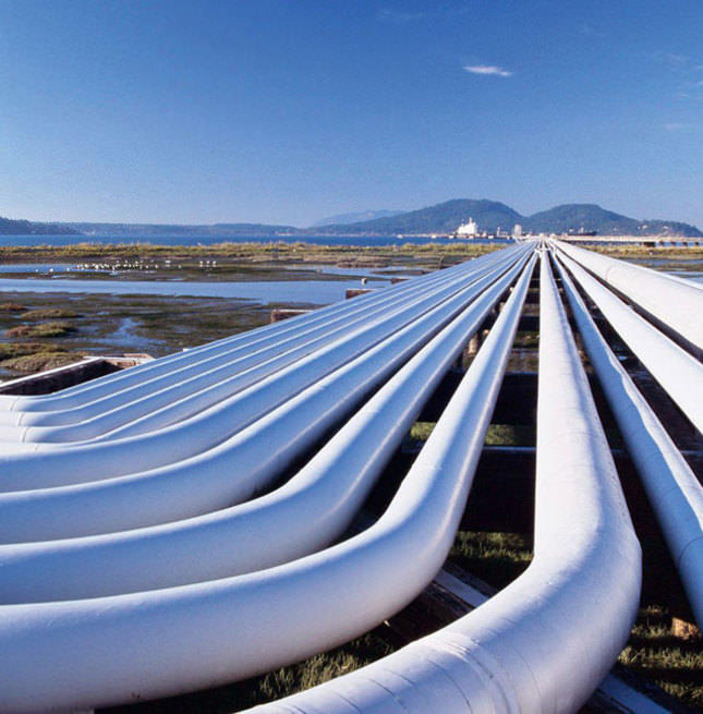 Petroleum Division seeks ECC go-ahead to revive shelved gas pipeline projects