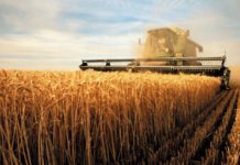 Is biotechnology the future of agriculture in Pakistan?