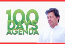 How well has the PTI performed on its 100-day agenda?