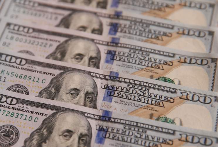 Dollar ends strongest year since 2015 on defensive note