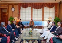 With PM taking personal interest will the K-Electric deal finally materialize?