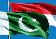 Indonesia formally grants immediate market access for 20 Pakistani products
