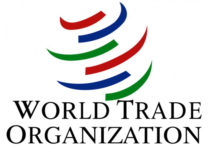 U.S. trade agency sees negotiating new WTO rules to rein in China as futile