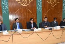 CDWP refers four mega projects worth Rs237bn to ECNEC