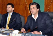 CDWP refers mega projects worth Rs594bn to ECNEC