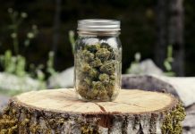 Google bans apps that facilitate sale of marijuana