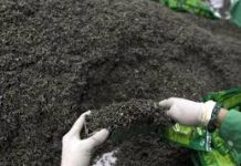 Tea imports up 0.61 percent to $495.957mn