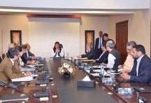 Hafeez Shaikh tasked to make proposals regarding govt officials’ retirement
