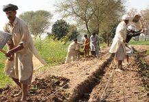 Federal government increases agriculture budget from Rs 1bn to Rs 12bn