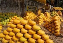 Pakistan’s mango growers face a sticky season