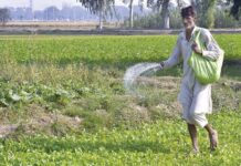 Fertiliser prices likely to increase by Rs100 per bag