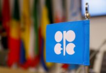Global oil market in glut, but not a big enough one for OPEC