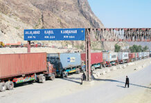 Torkham border to be fully functional by Aug 1st: FBR official