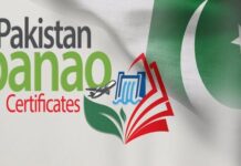 Less than 500 expats invest miserly $26 million in Diaspora bonds