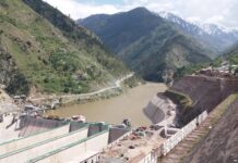 Govt decides to probe appointment of Neelum-Jhelum project CFO