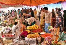 Weekly SPI inflation increases 1.23pc