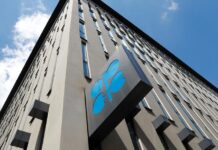 OPEC sees bearish oil outlook for rest of 2019