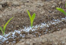 Urea offtake dips 6pc in July