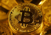 Is Bitcoin creator a Pakistani?