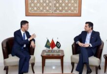 Second CPEC phase to enhance Pak-China B2B relations: envoy