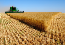 Agricultural lending floats to Rs 1.2tr despite ambitious credit goals
