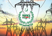 Blue-eyed officials ‘rule the roost’ in NEPRA