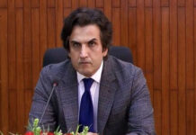 CPEC-related bottlenecks being removed on priority: minister